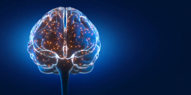 Brain Activity 3D Illustration stock photo