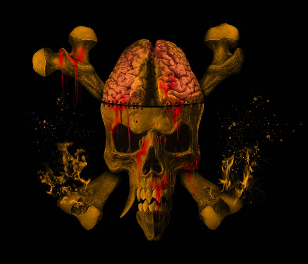 Brain and bones stock photo