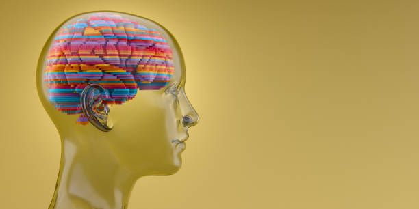 A Brain Formed From Multi-Coloured Stacked Layers Sitting Inside A Transparent Glass Head stock photo