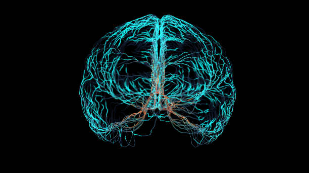 Brain nerve electric signal simulation stock photo