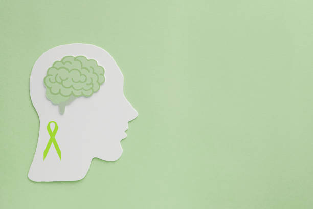 brain paper cutout on green background,  mental health concept, world mental health day brain paper cutout on green background,  mental health concept, world mental health day mental health awareness stock pictures, royalty-free photos & images