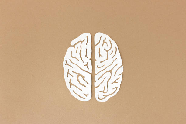 Brain paper-cut illustration stock photo