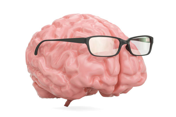 Brain with glasses, smart concept. 3D rendering stock photo