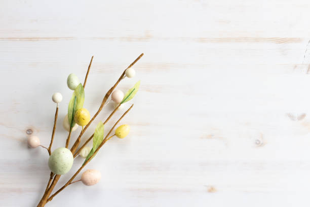 Branch with easter eggs on white wood  easter sunday stock pictures, royalty-free photos & images