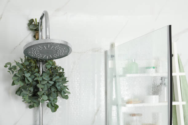 rami con foglie di eucalipto verde sotto la doccia - doccia foto e immagini stock
