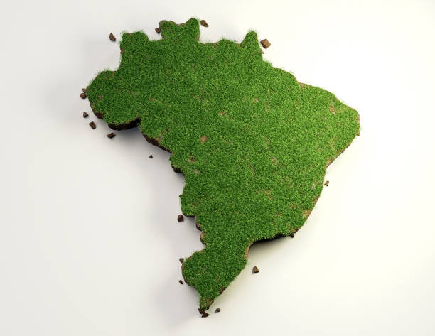 Brazil country Map Top View Grass and ground texture map 3d illustration stock photo