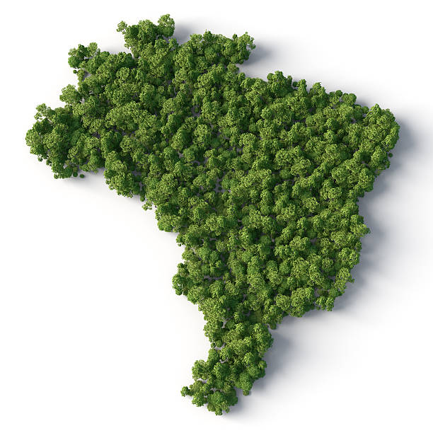 brazil map with forest stock photo