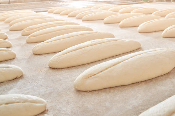 bröd bakning i ugn - shodography bildbanksfoton och bilder