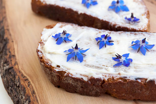 Bread, cheese and borage flowers stock photo