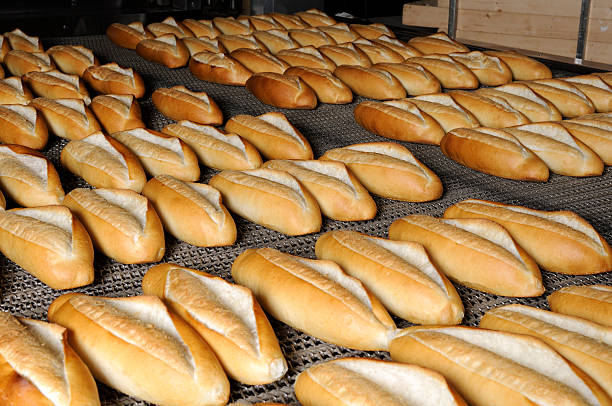 Breads stock photo