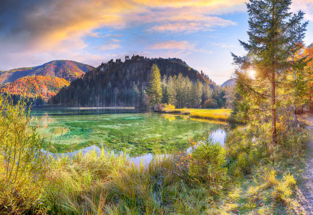 Breathtaking autumn scene of Schiederweiher pond. stock photo