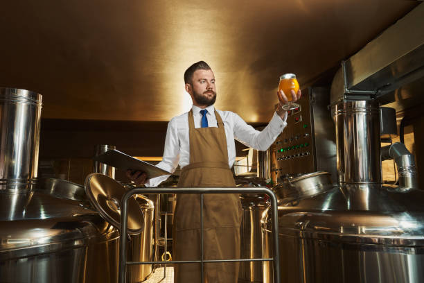 Brewery expert inspecting beer, holding glass. Handsome, bearded brewery expert holding glass with beer and looking. Brewery worker standing near equipment of brewery and inspecting beer glass. Concept of controlling production. brewery stock pictures, royalty-free photos & images