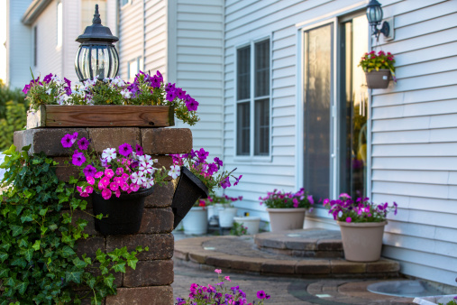 Brick Patio steps and pillar covered with climbing plant and petunias. Light on the pillar and on the wall of the house.