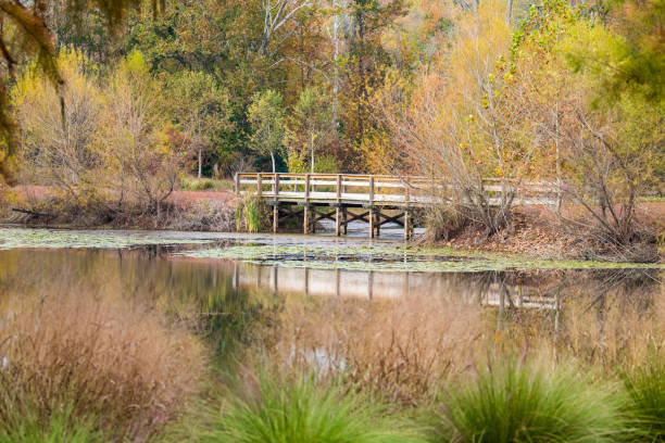 Brick Pond Park - North Augusta stock photo