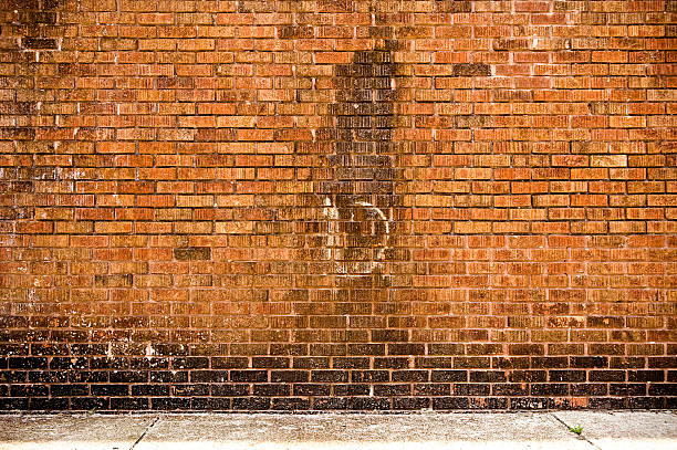 Alley Pictures Images and Stock Photos iStock Alley Pictures Images and Stock Photos iStock