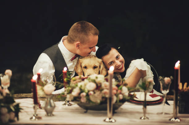 Bride and groom sitting at wedding table and smiling at camera stock photo