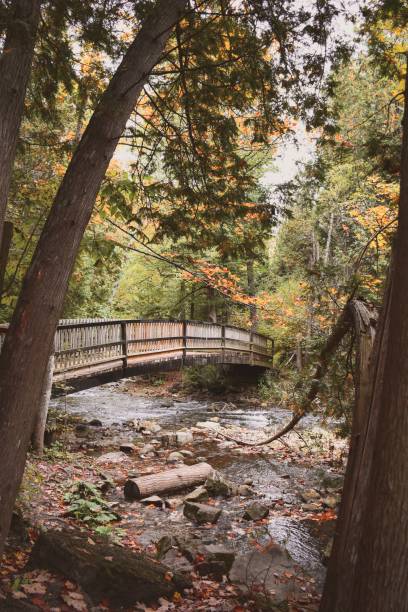 bridge across the credit valley river - burt forest imagens e fotografias de stock
