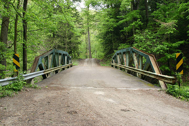 bridge in the woods stock photo