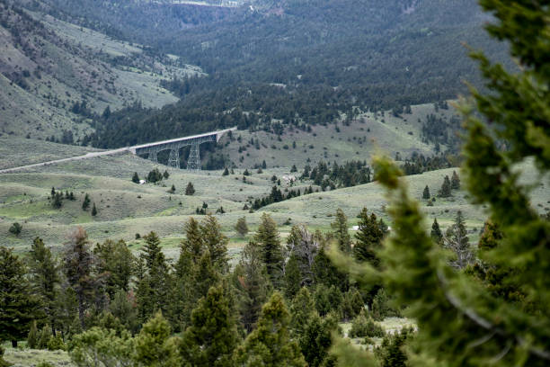 Bridge in Yellowstone stock photo