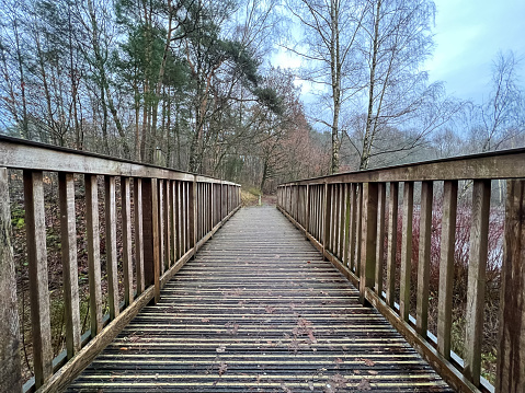 A bridge over a lake in the forest in winter.