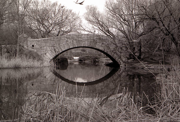 Bridge & Reflection stock photo