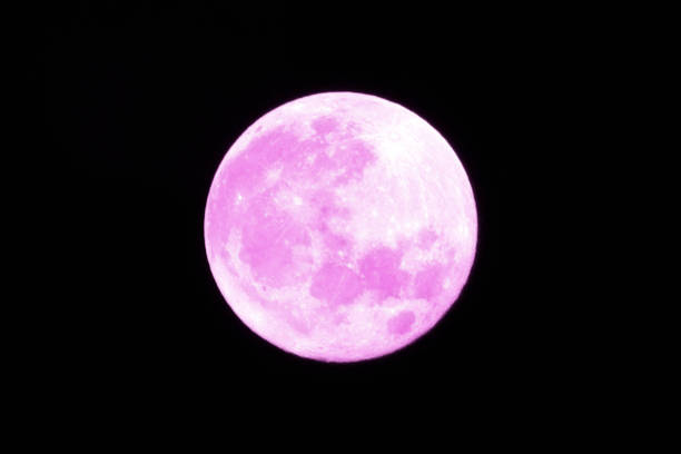 bright and big pink full moon - supermoon imagens e fotografias de stock