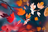 Bright  autumn summer natural background. Red and yellow leaves  in the autumn forest. Magical nature og autumn.