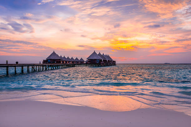 https://media.istockphoto.com/photos/bright-colorful-sunset-at-angaga-atoll-maldives-picture-id1134440948?k=6&m=1134440948&s=612x612&w=0&h=I0WqRBXAFkHp5ACXjAAsa1gQl9ETUOMPksa4eEIRREc=