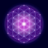 Bright Flower of Life With Stars