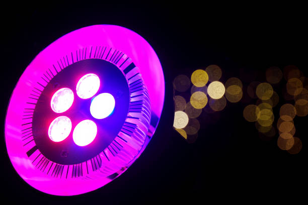 bright grow pink led lamp with lights in bokeh - techno agriculture imagens e fotografias de stock