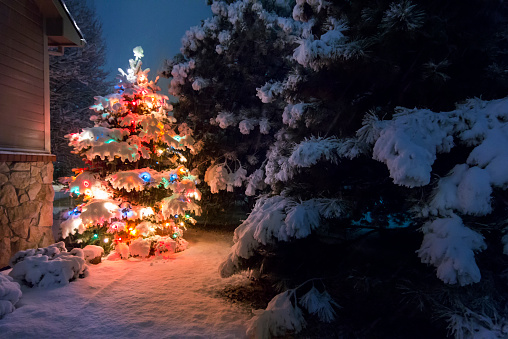 Brightly Lit Snow Covered Christmas Tree Outdoors At Night Stock Photo ...