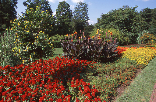 Brilliant Flowers In Springtime Longwood Gardens Wilmington