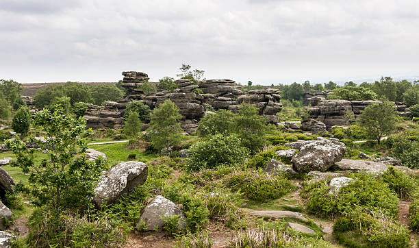 Brimham Rocks near Harrogate in Yorkshire Brimham Rocks near Harrogate, North Yorkshire, England brimham rocks stock pictures, royalty-free photos & images