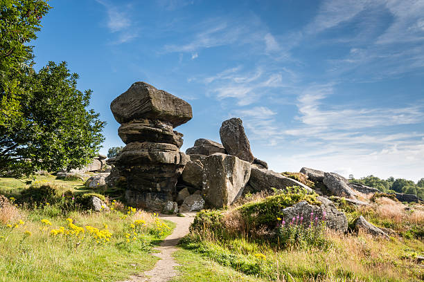 Brimham Rocks Brimham Rocks on Brimham Moor in North Yorkshire are weathered sandstone, known as Millstone Grit,creating some dramatic shapes, many of which have been named brimham rocks stock pictures, royalty-free photos & images