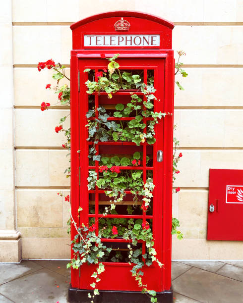 British Phone Box Bursting with Red Flowers Old Fashioned British Phone Box Bursting with Red Geranium Flowers red telephone box stock pictures, royalty-free photos & images