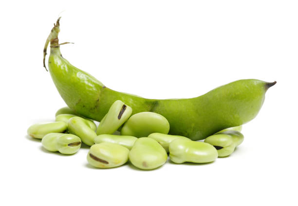 Broad beans Broad beans on white background broad bean stock pictures, royalty-free photos & images