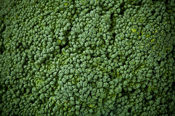 Broccoli background Macro shot of the broccoli texture... lepro stock pictures, royalty-free photos & images