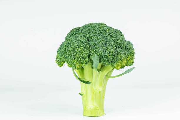 Broccoli on white background  broccoli rabe stock pictures, royalty-free photos & images