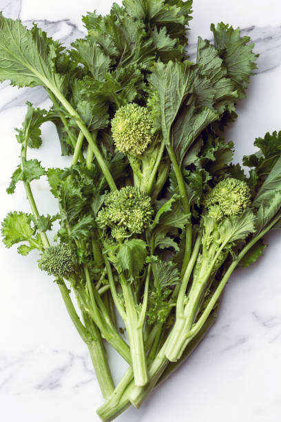 broccoli rabe cime di rapa (Brassica rapa) broccoli rabe stock pictures, royalty-free photos & images