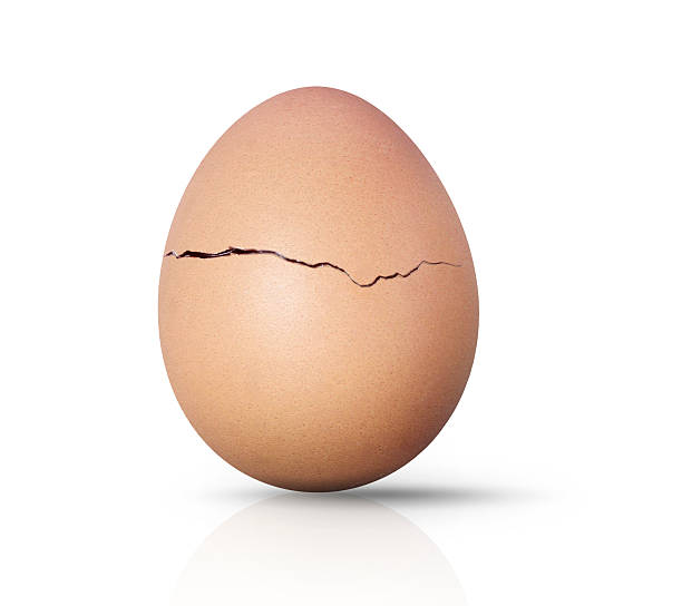 20,739 Cracked Egg Stock Photos, Pictures &amp; Royalty-Free Images - iStock