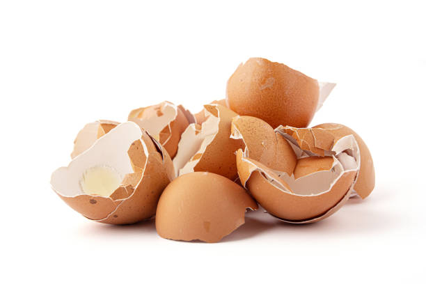 broken eggshells stacked isolated on a white background. stock photo