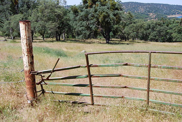 Broken Fence stock photo