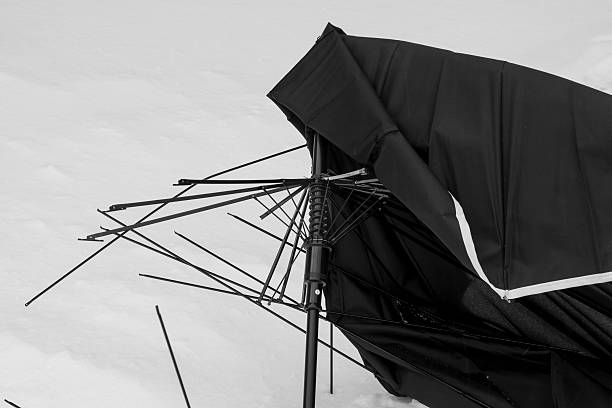 Broken umbrella. stock photo