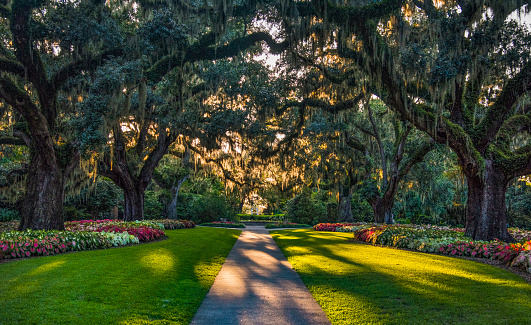 Brookgreen Gardens In Myrtle Beach South Carolina Usa Stockfoto