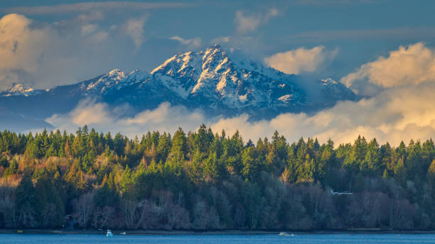 Brothers Wilderness In Clouds As Seen From Eld Inlet, Olympia Washington stock photo