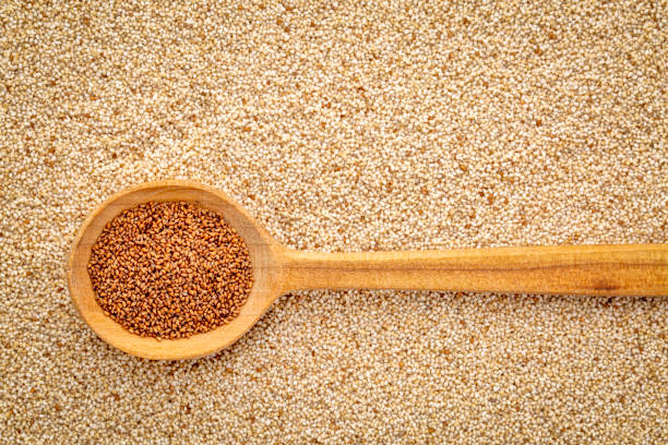 648 Teff Grain Stock Photos, Pictures &amp;amp; Royalty-Free Images - iStock