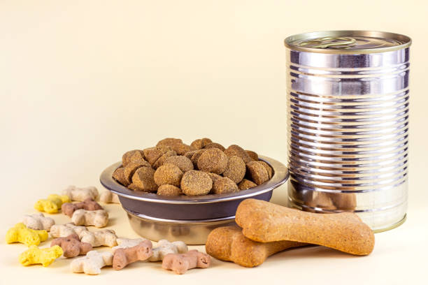 Brown biscuit bones, crunchy organic kibble pieces and wet dog food in metal can for pet feed on light background stock photo