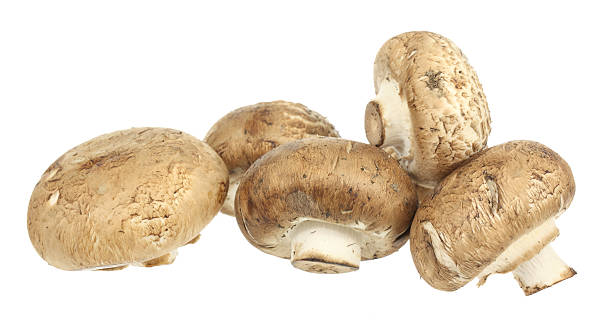 Brown Mushrooms stock photo