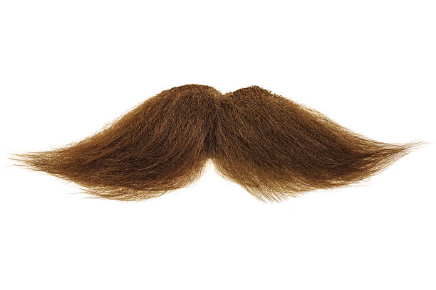 Brown mustache isolated on white stock photo