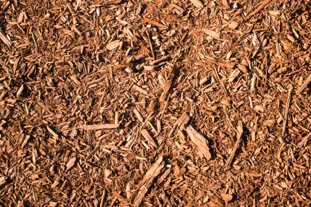 Brown, natural mulch texture with a warm atmosphere Brown woodchip mulch background or texture. Gardening, playground, parks, paths, texture, natural. mulch stock pictures, royalty-free photos & images